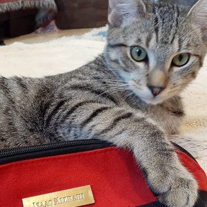 Isaac Mizrahi Cosmetic or Pencil Bag